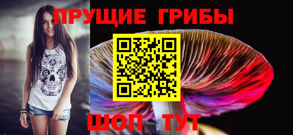 Псилоцибиновые грибы Magic Shrooms  Галлюциногенные грибы Cubensis  Вход с VPN  Энгельс 